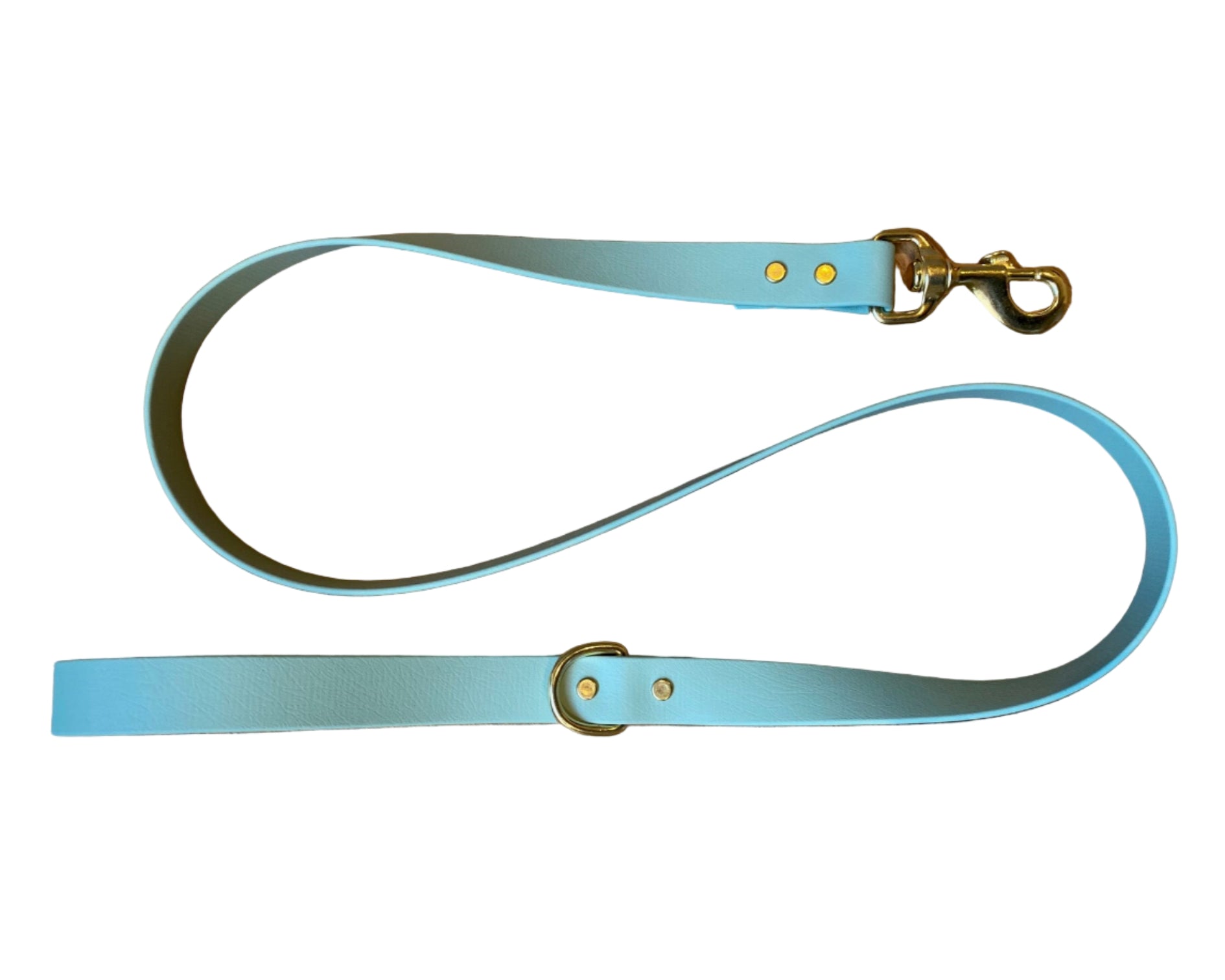 Sage green biothane dog leash with gold hardware on a white background