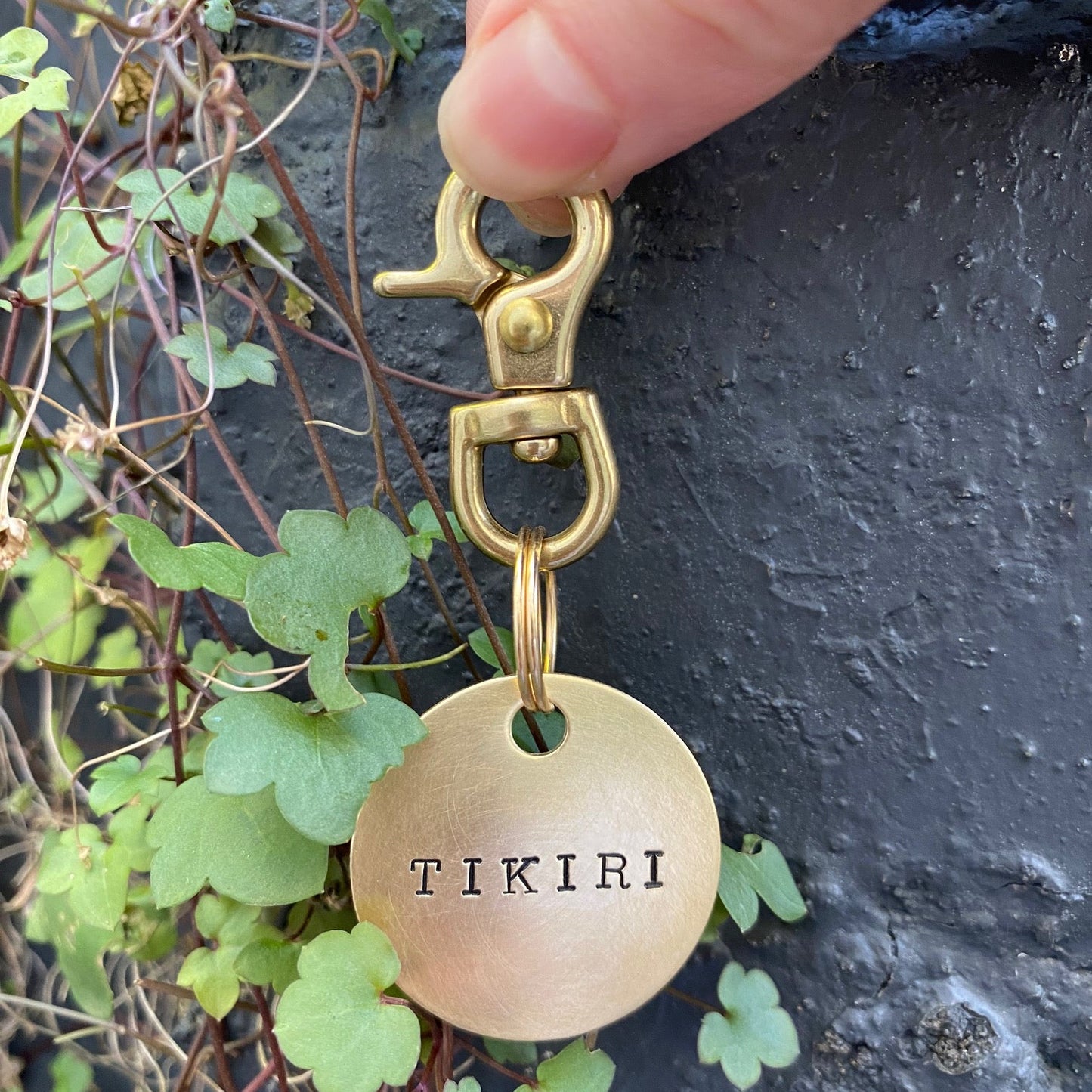 The Brass Tag Clip