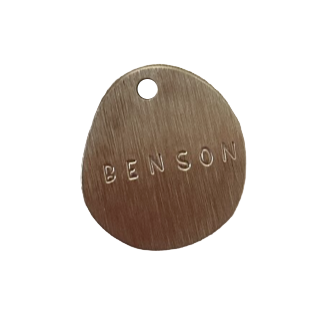 Brass gold dog tag with 'Benson' engraved on a white background