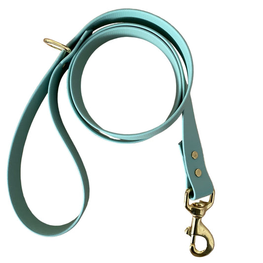 Sage green dog leash with goldbrass  clasp on a white background