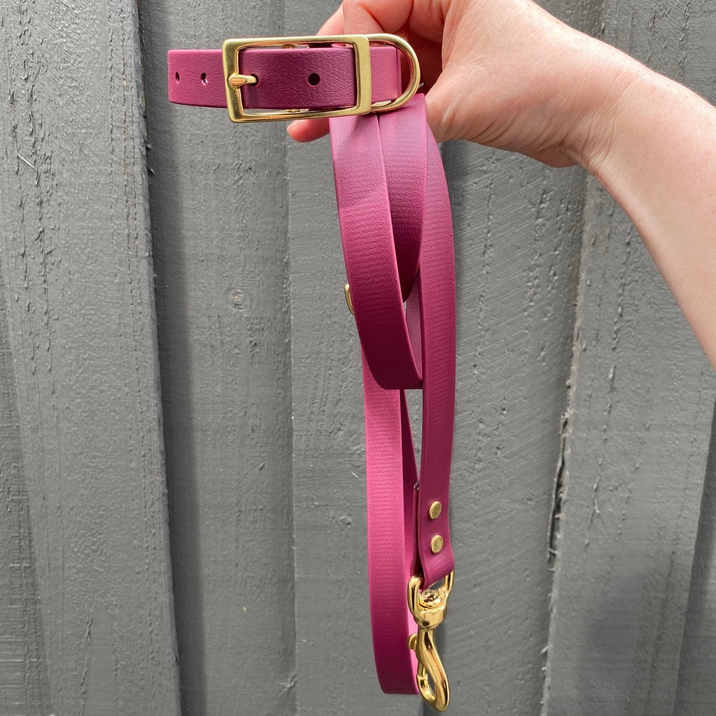 Maroon dog leash and collar set with gold brass hardware held against a gray wall